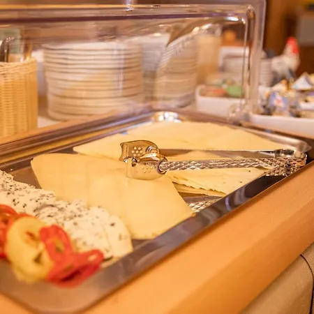 Gaestehaus Fellner Guest house Muhlbach Am Hochkonig